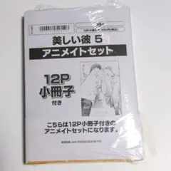 新品◆美しい彼 5　アニメイト 　セット