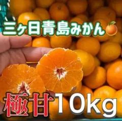 三ヶ日青島みかん 秀品 人気サイズ 10kg 濃厚 甘い 三ヶ日みかん
