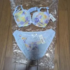 ブラジャーショーツセット C75 水彩柄のサムネイル