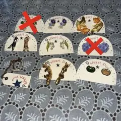 パルナートポック　ピアスセット