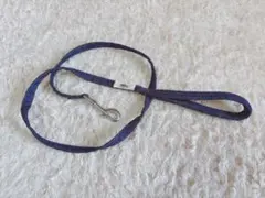 Item thumbnail for item 097ae2ba-2a1b-4436-8a11-19e67c904628