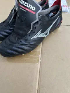 Mizuno モレリアネオ4