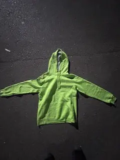 Champion 希少カラー　パーカー