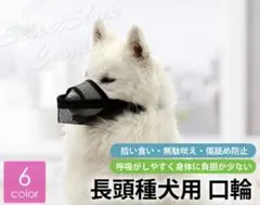 Item thumbnail for item 997d366f-ea27-476f-81ea-8cfd19de972d