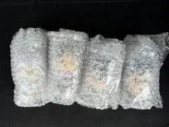 一番くじ幽遊白書　F賞 SOFVICちゅ4種コンプリートセット