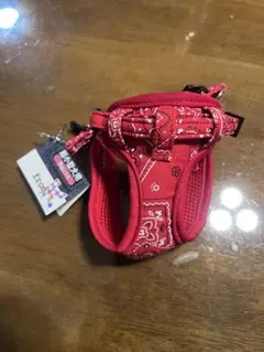 Item thumbnail for item 510ec8a5-abe8-462c-b52e-a5ce949e60eb