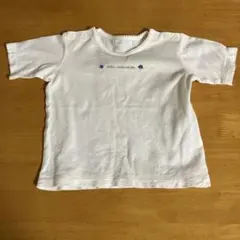 Item thumbnail for item 132490b4-4b03-43a2-81b5-ad931662f0dc