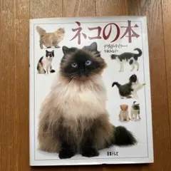 Item thumbnail for item 3462b74e-19d2-4505-8a33-a96e2b9eb261