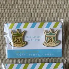 嵐 ピンバッジ 2010年 ツアー ライブ
