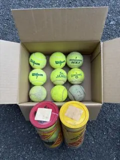 Item thumbnail for item 8f82c7a8-cf2c-470a-81de-e3c6d1a9f829