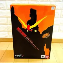 2026年最新】METAL BUILDデスティニーガンダム（ハイネ機）の人気