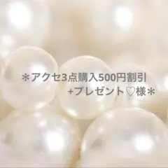 アクセ3点購入500円割引➕プレゼント♡様専用ページ