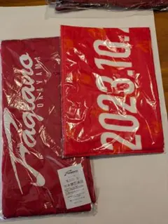 Item thumbnail for item f72bd45b-0dac-4832-b85f-d5f705d56ba0