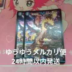 飛翔龍 5000VT 2枚 - メルカリ