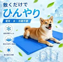 新品未使用✨️ ペットひんやりマット クッション入り 冷感ジェル Sサイズ