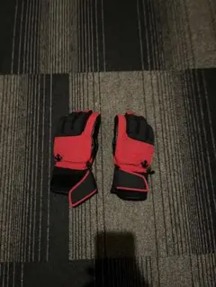 スキーグローブ