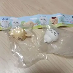 ちいかわ ならぶんです。 うさぎ　ハチワレ