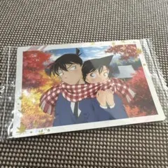 名探偵コナン イタジャガ レア 工藤新一 毛利蘭 修学旅行