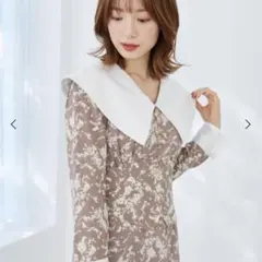 マジェスティックレゴン ワンピース