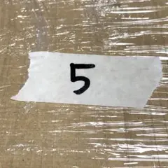 【5専用】手描きアート カスタムボールペンパーツ