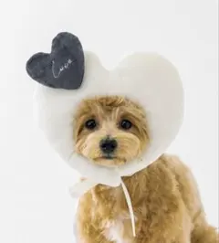 Item thumbnail for item 558e8b39-cb02-4f11-9677-59e951c4d757