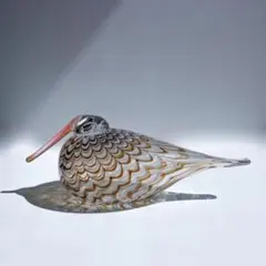 Eurasian woodcock オイバトイッカ　イッタラ　バードのサムネイル