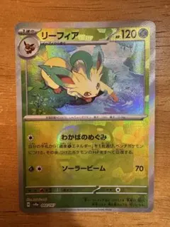 リーフィア　マスターボールミラー