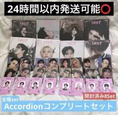 straykids DOIT Accordion アコーディオン 8枚 コンプ
