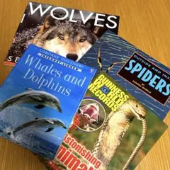 Gherkin Lugin様 リクエスト 3点 まとめ商品