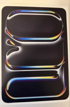 【極美品】Apple iPad Pro 256GB ブラック　ケースつき