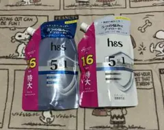 h&s 5in1 マイルドモイスチャー シャンプー コンディショナー つめかえのサムネイル