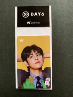⭐︎新品未使用⭐︎ DAY6 JYP公式xWOWPASSコラボ限定販売　WONPIL
