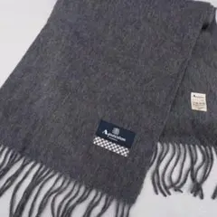 アクアスキュータム