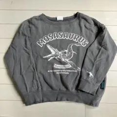 モササウルス　120㎝　トレーナー