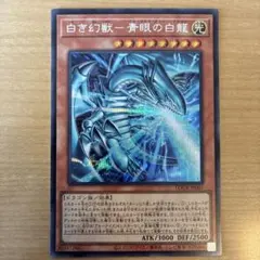 白き幻獣　青眼の白龍　シク