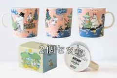 ムーミン バレーパーク アラビア マグカップ 2点セット