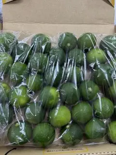 徳島産 訳ありハウスすだち（L〜3L 3kg） - メルカリ