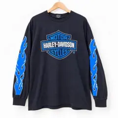 HARLEYDAVIDSON Schoch ブルーフレイム USA製 XLロンT