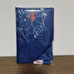 【非売品】ハローキティ×エースコック　折りたたみ　保冷バッグ