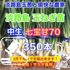 2026年最新】七宝甘70の人気アイテム - メルカリ
