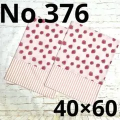 【No.376】ランチョンマット ランチマット 給食ナフキン 2枚セット