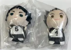 ハイキュー もちもちマスコット たっち 木兎 赤葦 2点セット