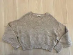 earth music&ecology Vネックニット 長袖　フリーサイズ