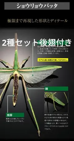 いきもの大図鑑アドバンス オオカマキリショウリョウバッタ - メルカリ