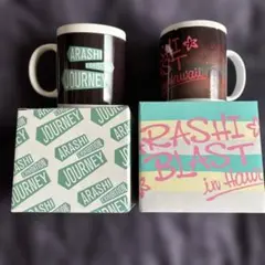 嵐公式グッズ　マグカップ ARASHI BLAST IN Hawaii