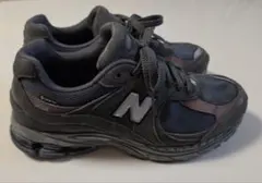 ニューバランス M2002RXA GORE-TEX（28.5cm）