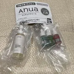 Anua ミニチュアチャーム　ガチャ　まとめ売り