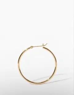 artida oud bone オーガニックthin middleフープ ピアスのサムネイル