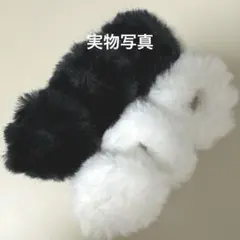 Item thumbnail for item 9c360f6a-3254-4539-8efe-abf0c8fb26fc