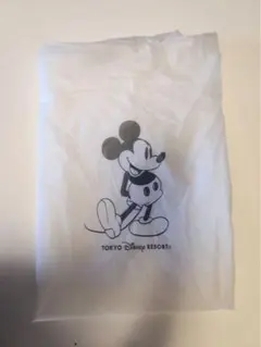 東京ディズニーリゾート限定のレインポンチョ　Lサイズ　雨　カッパ　値下げ不可